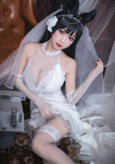 海狼行动电影在线观看完整版高清
