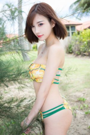 风月锦囊电视剧免费观看
